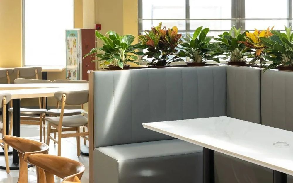 廣州天省實驗學校